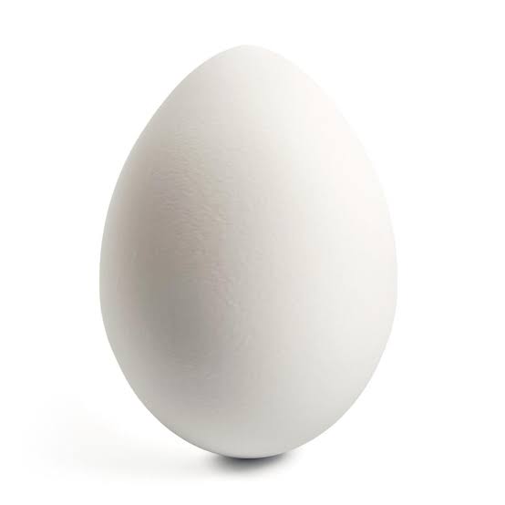 Egg